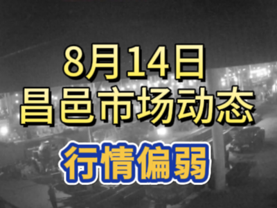 8月14日 琨福市場大姜價格（行情偏弱） (184播放)