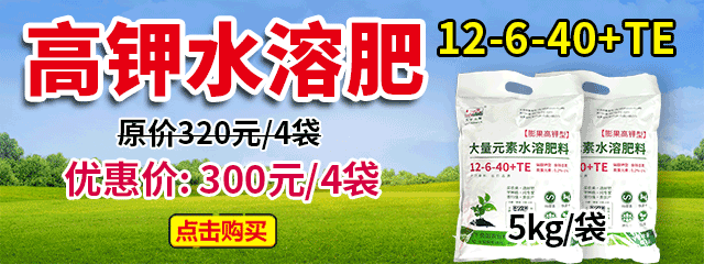 高鉀水溶肥12-6-40+TE