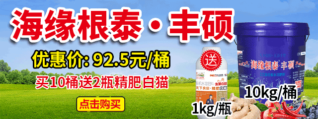 海緣根泰•豐碩