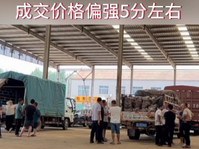 8月15日下午安丘黑埠子市場（穩中見硬） (230播放)