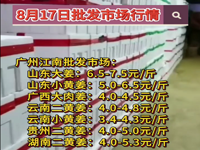 8月17日廣州江南批發(fā)市場(chǎng)生姜價(jià)格行情 (316播放)
