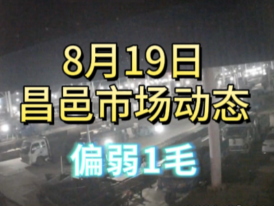 8月19日 琨福市場大姜價格（偏弱1毛） (233播放)