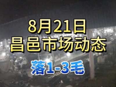 8月21日 琨福市場大姜價格（落1-3毛） (219播放)