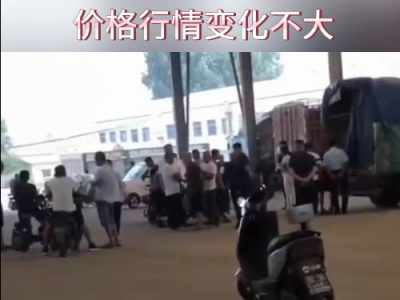 8月21日下午安丘黑埠子市場（變化不大） (230播放)