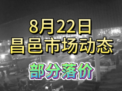 8月22日 琨福市場大姜價格（部分落價） (272播放)