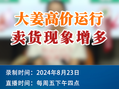 農(nóng)情漫談：大姜高價運行 賣貨現(xiàn)象增多 (232播放)