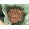 姜母大量現(xiàn)貨，原包過篩，水洗都行