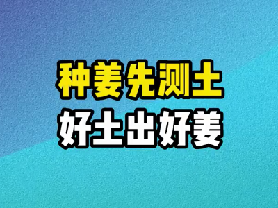 種姜先測土 好土出好姜 (199播放)