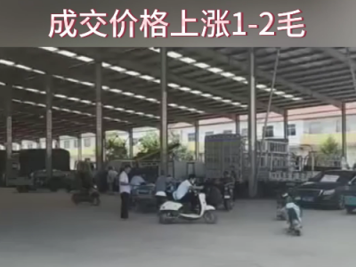 8月23日下午安丘黑埠子市場(chǎng)（張1-2毛） (240播放)