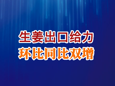 老石說姜：生姜出口給力 環(huán)比同比雙增 (240播放)
