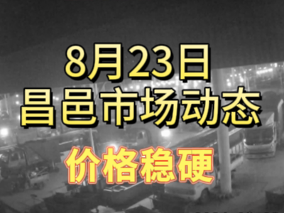 8月23日 琨福市場大姜價格（價格穩(wěn)硬） (284播放)