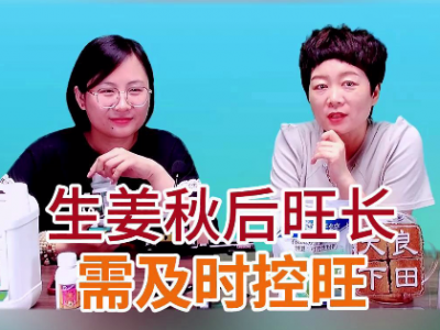 生姜秋后旺長需及時控旺 ()