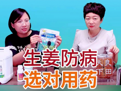 生姜防病選對用藥 ()
