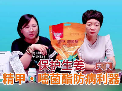 保護生姜精甲·嘧菌酯防病利器 ()