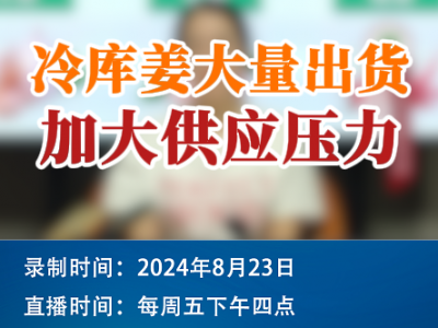農(nóng)情漫談：冷庫姜大量出貨 加大供應(yīng)壓力 ()