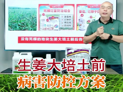 生姜大培土前病害防控方案 (166播放)