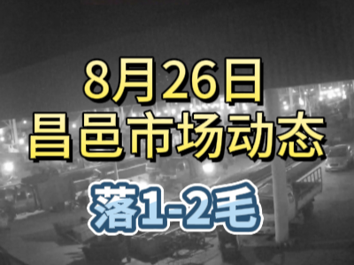 8月26日 琨福市場大姜價格（落1-2毛） (241播放)