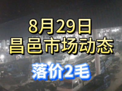 8月29日 琨福市場大姜價格（落價2毛） (237播放)