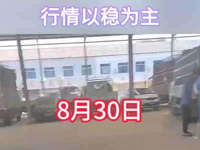 8月30日下午安丘黑埠子市場（以穩為主） (269播放)