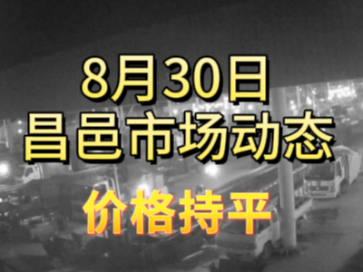 8月30日 琨福市場大姜價格（價格持平） (279播放)