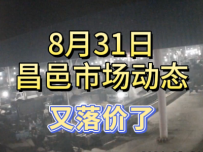 8月31日 琨福市場大姜價格（又落價了） (260播放)