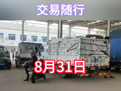8月31日下午安丘黑埠子市場（交易隨行） (287播放)