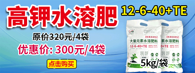 高鉀水溶肥12-6-40+TE