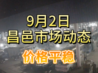 9月2日 琨福市場大姜價格（價格平穩） (287播放)