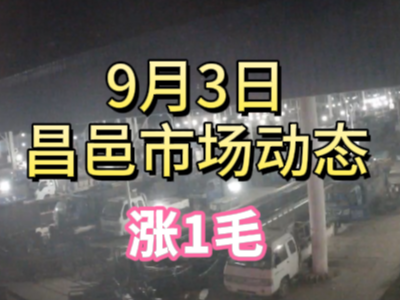 9月3日 琨福市場大姜價格（漲1毛） (257播放)