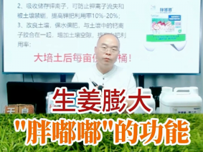 膨大姜塊“胖嘟嘟”的功能 (208播放)