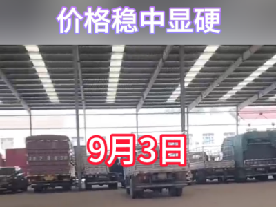9月3日下午安丘黑埠子市場（穩中顯硬） (290播放)
