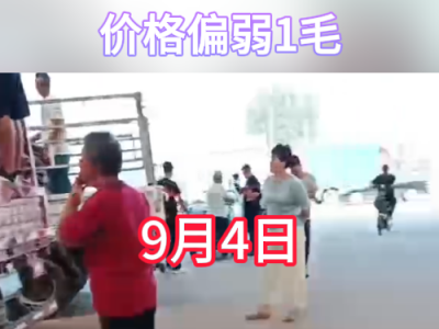 9月4日下午安丘黑埠子市場（偏弱1毛） (319播放)