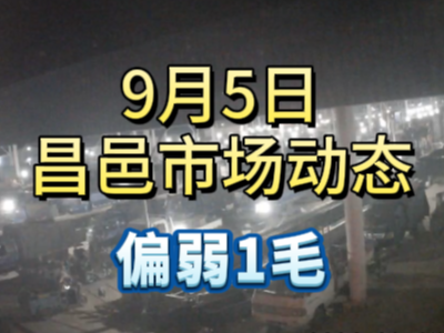 9月5日 琨福市場(chǎng)大姜價(jià)格（偏弱1毛） (272播放)