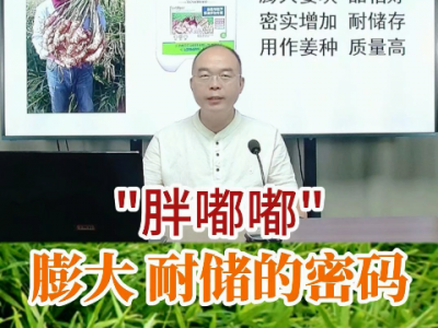 “胖嘟嘟”膨大耐儲的密碼 (206播放)