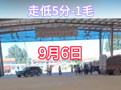 9月6日下午安丘黑埠子市場（走低5分-1毛） (260播放)