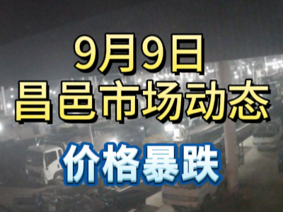 9月9日 琨福市場(chǎng)大姜價(jià)格（價(jià)格暴跌） (263播放)