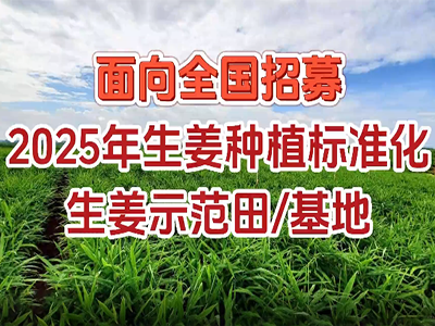 2025年生姜示范田基地招募 (306播放)