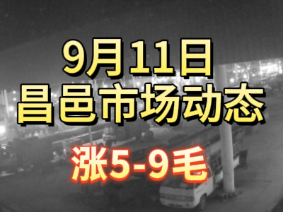 9月11日 琨福市場(chǎng)大姜價(jià)格（漲5-9毛） (262播放)