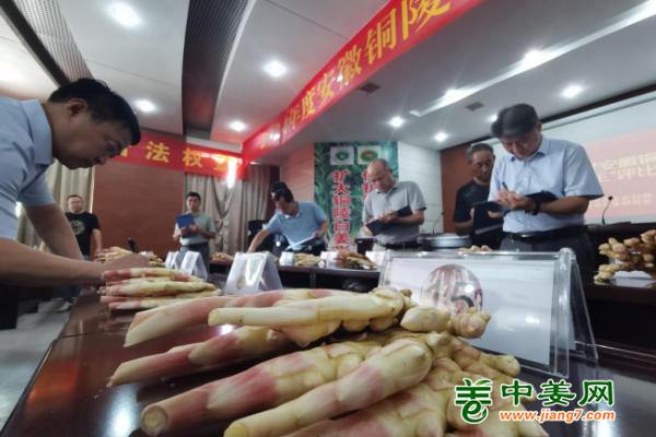 安徽銅陵白姜“姜王”評(píng)選結(jié)束 ()