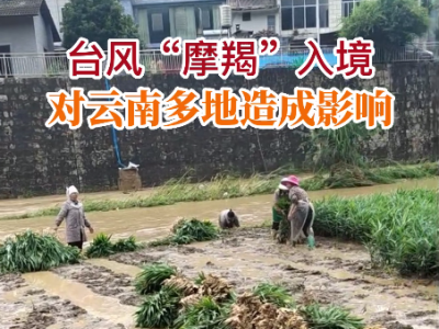 摩羯入境，云南文山部分姜田受淹 (196播放)