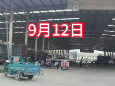 9月12日下午安丘黑埠子市場（價(jià)格落3-5毛） (391播放)