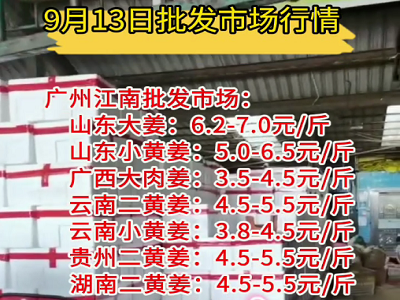 9月13日廣州江南批發市場生姜價格行情 (324播放)