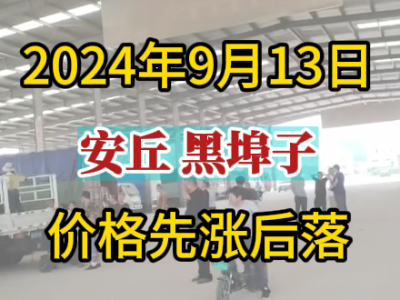 9月13日下午安丘黑埠子市場（先漲后落） (284播放)