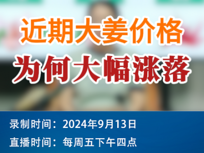 農(nóng)情漫談：近期大姜價(jià)格為何大幅漲落 (254播放)