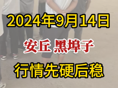 9月14日下午安丘黑埠子市場（先硬后穩(wěn)） (258播放)
