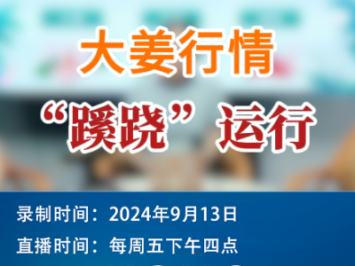農情漫談：大姜行情“蹊蹺”運行 (277播放)