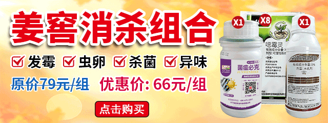 姜窖消殺組合