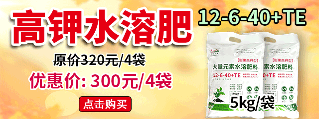 高鉀水溶肥12-6-40+TE