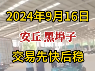 9月16日下午安丘黑埠子市場（先快后穩(wěn)） (277播放)