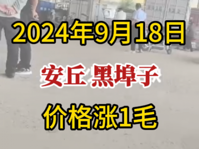 9月18日下午安丘黑埠子市場（價(jià)格漲1毛） (330播放)